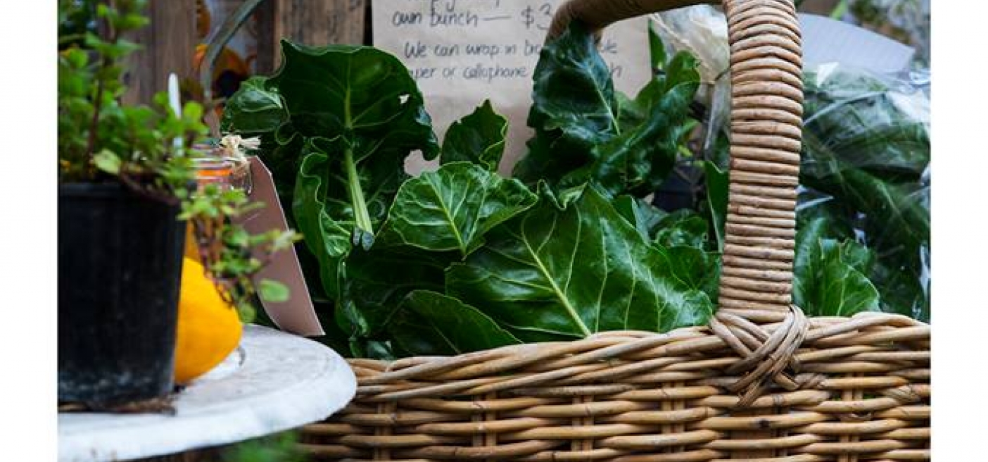 Biodynamics Biodynamic Farming