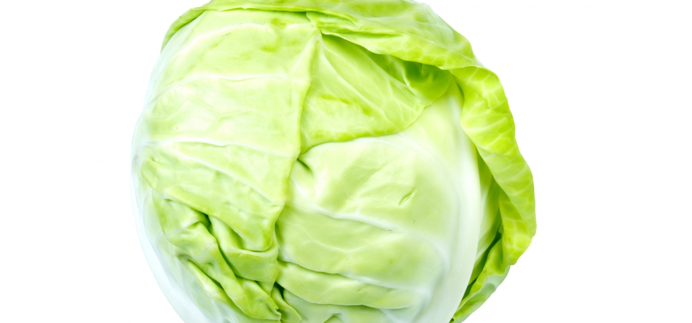 Green cabbage