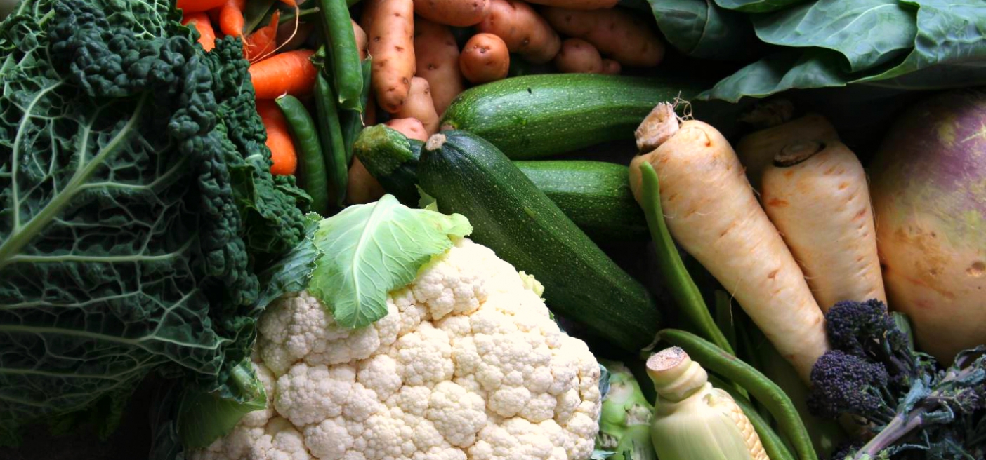Waste wisely Compost